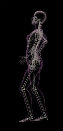 simsearch:400-06758521,k - Female medical skeleton with backache Stock Photo - Budget Royalty-Free & Subscription, Code: 400-06854200