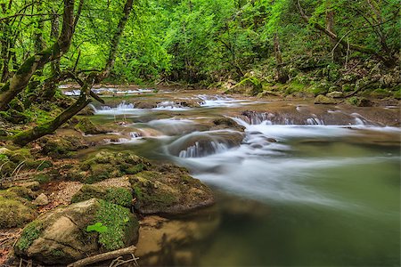 porojnicu (artist) - Nera River in the Banat Mountains, Romania Foto de stock - Super Valor sin royalties y Suscripción, Código: 400-06855347