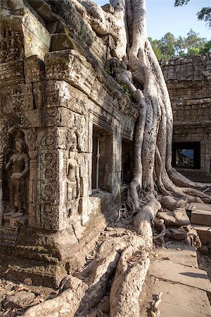simsearch:400-04592509,k - Ta Prohm Temple consumed by the jungle in Angkor, Cambodia Stock Photo - Budget Royalty-Free & Subscription, Code: 400-06855706