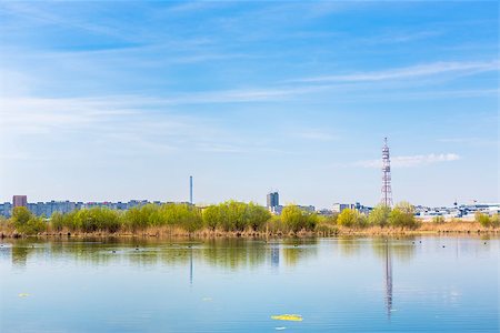 Daytime view of aquatic ecosystem on old Vacaresti Lake near south-eastern Bucharest suburbs. Stock Photo - Budget Royalty-Free & Subscription, Code: 400-06855866