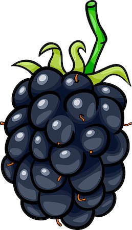 simsearch:400-06857846,k - Cartoon Illustration of Blackberry Berry Fruit Food Object Photographie de stock - Aubaine LD & Abonnement, Code: 400-06855933