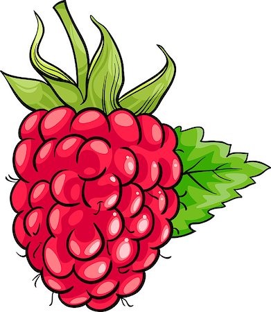 simsearch:400-06857846,k - Cartoon Illustration of Raspberry Berry Fruit Food Object Photographie de stock - Aubaine LD & Abonnement, Code: 400-06855947