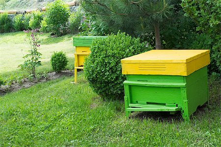 Yellow beehives located on the green lawn Stock Photo - Budget Royalty-Free & Subscription, Code: 400-06855992