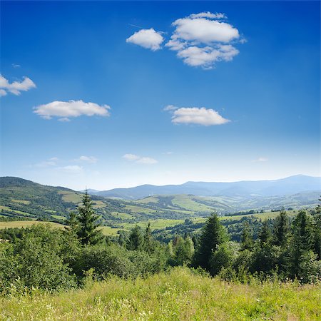 Beautiful green mountain landscape with trees in Carpathians. Ukraine Stockbilder - Microstock & Abonnement, Bildnummer: 400-06856148