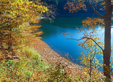 simsearch:400-06852043,k - Mountain Synevir lake view through autumn tree twigs Fotografie stock - Microstock e Abbonamento, Codice: 400-06856573