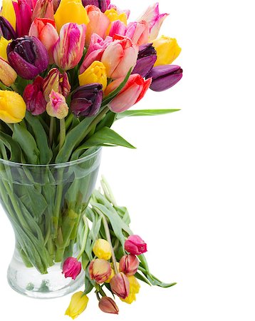 simsearch:400-06356460,k - tulip flowers in glass vase isolated on white background Foto de stock - Super Valor sin royalties y Suscripción, Código: 400-06856802