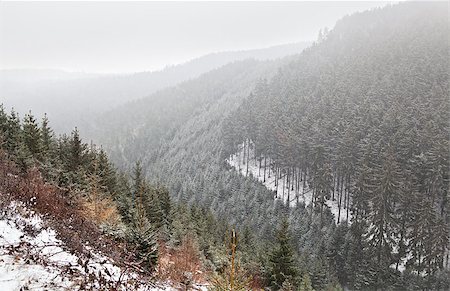 simsearch:400-06859549,k - snowstorm in Hraz mountains during winter Photographie de stock - Aubaine LD & Abonnement, Code: 400-06857064