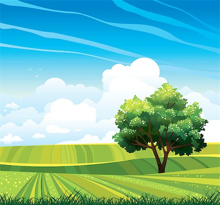 Blossom tree and green meadow on a blue sky background with clouds. Vector summer landscape. Stock Photo - Budget Royalty-Free & Subscription, Code: 400-06857807