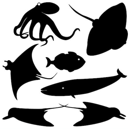 stingray - Set of fish silhouettes isolated on white Photographie de stock - Aubaine LD & Abonnement, Code: 400-06858026