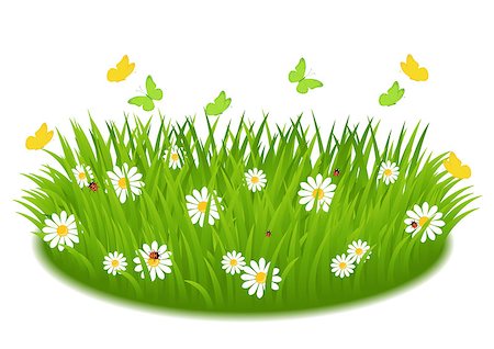 green grass with daisies, butterfly and ladybugs Stock Photo - Budget Royalty-Free & Subscription, Code: 400-06858577