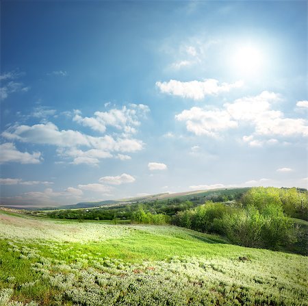 simsearch:400-07189007,k - Green spring meadow in the sunshine Fotografie stock - Microstock e Abbonamento, Codice: 400-06858962