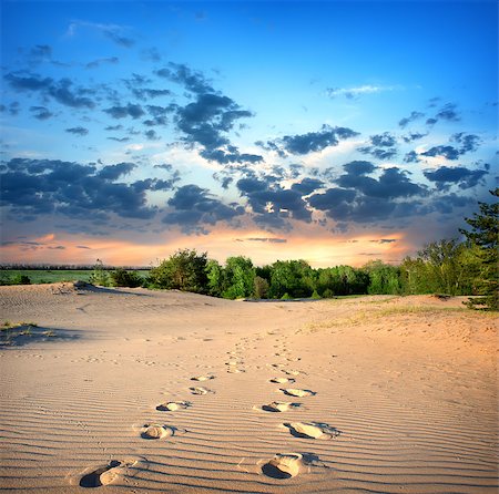 sunset ray - Footprints in the sand in desert at sunset Photographie de stock - Aubaine LD & Abonnement, Code: 400-06858997