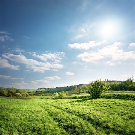 simsearch:400-06892091,k - Country road on a spring green meadow Photographie de stock - Aubaine LD & Abonnement, Code: 400-06858991