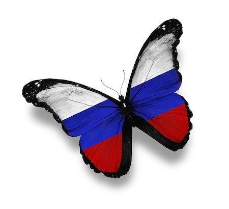Russian flag butterfly, isolated on white Stock Photo - Budget Royalty-Free & Subscription, Code: 400-06859480