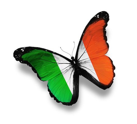 Irish flag butterfly, isolated on white Stock Photo - Budget Royalty-Free & Subscription, Code: 400-06859481
