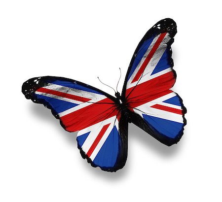 English flag butterfly, isolated on white Stock Photo - Budget Royalty-Free & Subscription, Code: 400-06859483