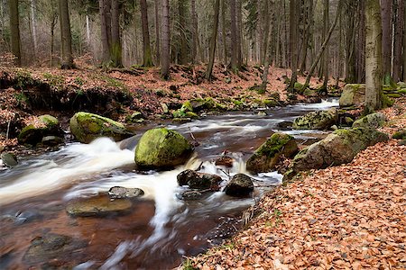simsearch:400-04412215,k - fast alpine river in the wild forest Photographie de stock - Aubaine LD & Abonnement, Code: 400-06859555