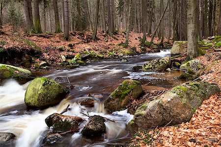 simsearch:400-04452321,k - fast river with many stones in Harz mountains, Germany Fotografie stock - Microstock e Abbonamento, Codice: 400-06859556