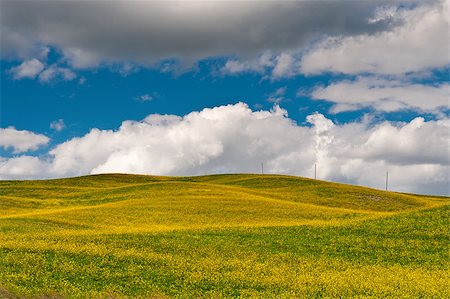 simsearch:400-04517909,k - High-voltage Power Line Passes through the Yellow Sloping Meadows of Tuscany Photographie de stock - Aubaine LD & Abonnement, Code: 400-06859766