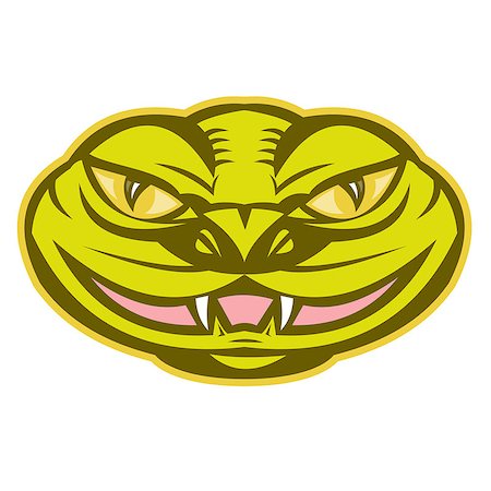 Illustration of a viper snake serpent head facing front on isolated background. Stock Photo - Budget Royalty-Free & Subscription, Code: 400-06850054