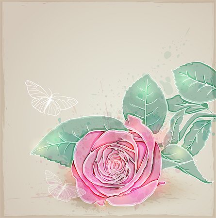 simsearch:400-08132574,k - Vector floral background with pink rose and butterflies Stockbilder - Microstock & Abonnement, Bildnummer: 400-06850996