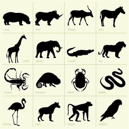 Set of Africa animal icons Photographie de stock - Aubaine LD & Abonnement, Code: 400-06851027