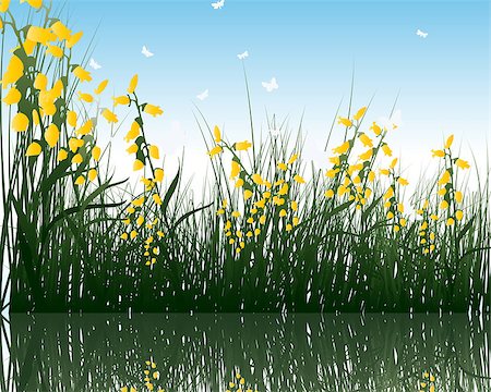 Summer grass with reflections in water. EPS 10 vector illustration. Fotografie stock - Microstock e Abbonamento, Codice: 400-06851166