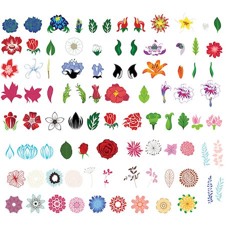 Big collection of flowers. Fully editable vector illustration. Foto de stock - Super Valor sin royalties y Suscripción, Código: 400-06851839