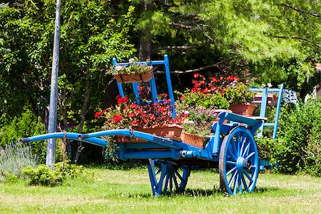 cart with flowers, Saint-Julien-en-Beauchen, Provence, France Photographie de stock - Aubaine LD & Abonnement, Code: 400-06852232