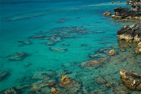 A clear blue sea, with a reef clearly visable below the water Stock Photo - Budget Royalty-Free & Subscription, Code: 400-06853076