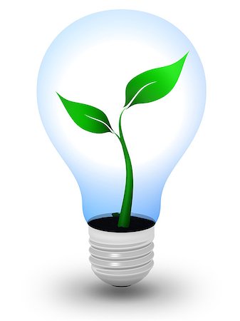 simsearch:400-07464142,k - Light bulb with a growing plant inside Foto de stock - Super Valor sin royalties y Suscripción, Código: 400-06853364