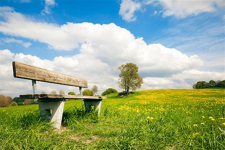 An image of a bench in the green nature Stock Photo - Budget Royalty-Free & Subscription, Code: 400-06853778