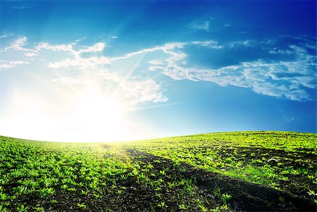 Spring meadow with green grass and bright sun Stock Photo - Budget Royalty-Free & Subscription, Code: 400-06853885