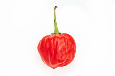 simsearch:400-06864396,k - Scotch bonnet chili pepper Stock Photo - Budget Royalty-Free & Subscription, Code: 400-06864377
