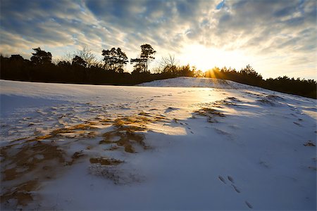 simsearch:400-07046539,k - hill in snow at sunset during winter, Netherlands Stock Photo - Budget Royalty-Free & Subscription, Code: 400-06867261
