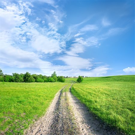 Country road in a green field in the afternoon Stock Photo - Budget Royalty-Free & Subscription, Code: 400-06867509