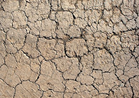 simsearch:400-05247506,k - Dry cracked earth in desert. Background. Close-up Stock Photo - Budget Royalty-Free & Subscription, Code: 400-06867551