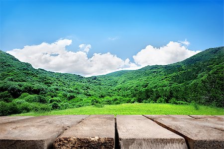 Meadow in mountains , blue sky and wooden floor Stock Photo - Budget Royalty-Free & Subscription, Code: 400-06867567