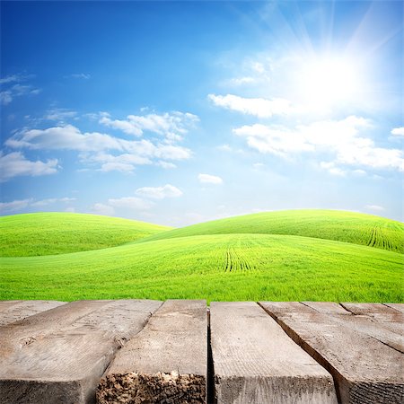 Table and field of fresh grass on a background of blue sky Stock Photo - Budget Royalty-Free & Subscription, Code: 400-06867577