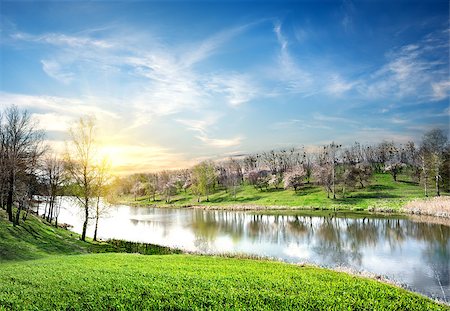 simsearch:400-07189007,k - Spring landscape with the river and the sun Fotografie stock - Microstock e Abbonamento, Codice: 400-06867573