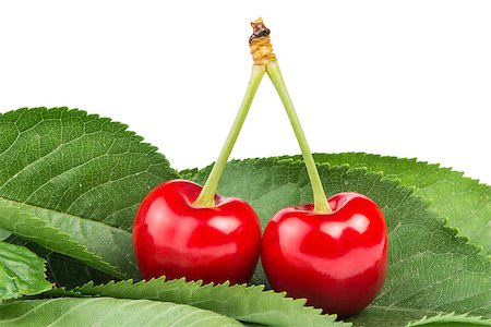 simsearch:400-06855989,k - Two Cherries and branch with leaves white isolated Photographie de stock - Aubaine LD & Abonnement, Code: 400-06867878