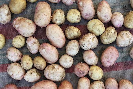 simsearch:400-04962399,k - potatoes raw vegetables food close up Stockbilder - Microstock & Abonnement, Bildnummer: 400-06867904