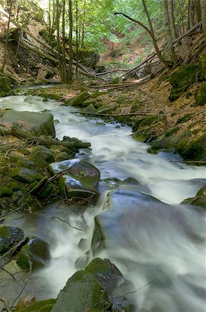 simsearch:400-04912455,k - This is a mountain stream. Riversides are spread with fallen leaves. Fotografie stock - Microstock e Abbonamento, Codice: 400-06867934