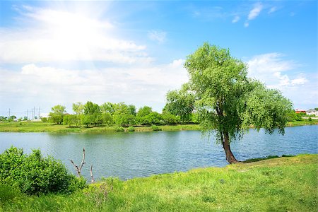 Tree and lake in the afternoon on a background of blue sky Stock Photo - Budget Royalty-Free & Subscription, Code: 400-06860160