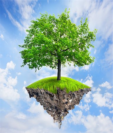 earth ecology concept - Green tree on part of a land Stock Photo - Budget Royalty-Free & Subscription, Code: 400-06860163