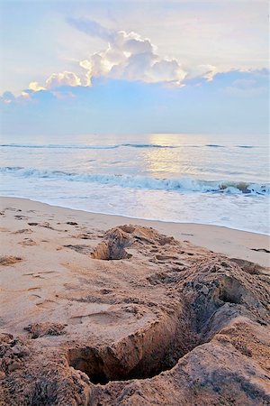 Vertical color capture of holes dug on a sandy beach in Pondicherry India by crab catchers during low tide to snare and trap crabs for local markets, sunrise behind a layer of clouds during this earling capture Stock Photo - Budget Royalty-Free & Subscription, Code: 400-06860225