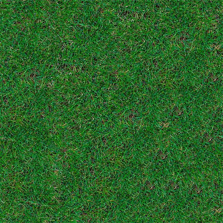 simsearch:400-05118067,k - Green Trimmed Grass on the Lawn. Seamless Tileable Texture. . Stock Photo - Budget Royalty-Free & Subscription, Code: 400-06860429