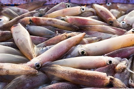 feeler - Closeup fresh squid in the  seafood market Photographie de stock - Aubaine LD & Abonnement, Code: 400-06860522