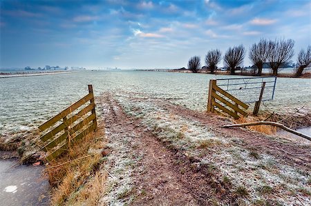 simsearch:400-07295947,k - wooden fence on winter pasture at sunrise Fotografie stock - Microstock e Abbonamento, Codice: 400-06861095