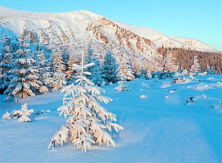 simsearch:400-06861143,k - Winter mountain landscape with snow covered fir trees in sunrise light Foto de stock - Super Valor sin royalties y Suscripción, Código: 400-06861143